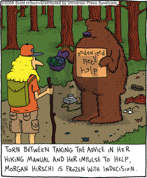 The Argyle Sweater on Monday December 29, 2008 Comic Strip