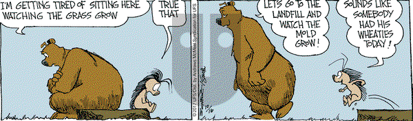 The Grizzwells on Monday October 16, 2017 Comic Strip