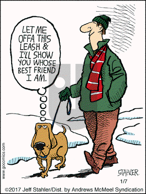 Moderately Confused - Saturday January 7, 2017 Comic Strip