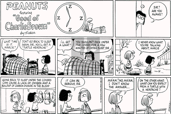 Peanuts - Sunday January 2, 1983 Comic Strip