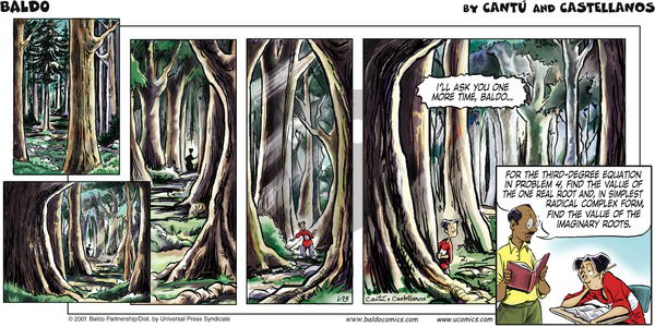 Baldo on Sunday January 13, 2002 Comic Strip