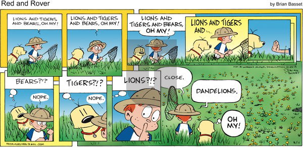 Red and Rover on Sunday August 11, 2019 Comic Strip