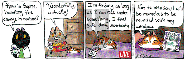 Breaking Cat News - Friday May 31, 2024 Comic Strip