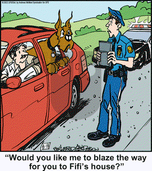 Marmaduke on Thursday August 18, 2022 Comic Strip