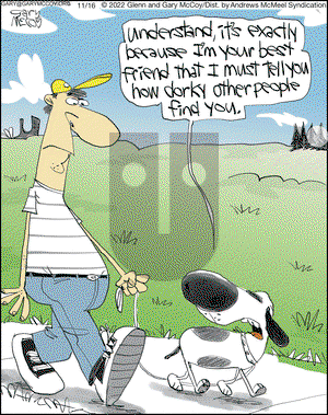 The Flying McCoys - Wednesday November 16, 2022 Comic Strip