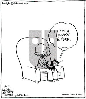 Kit 'N' Carlyle on Saturday November 12, 2005 Comic Strip