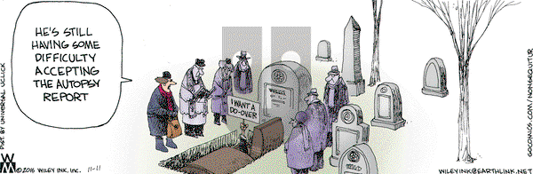 Non Sequitur on Friday November 11, 2016 Comic Strip
