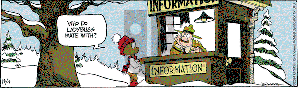 The Grizzwells - Saturday December 7, 2024 Comic Strip
