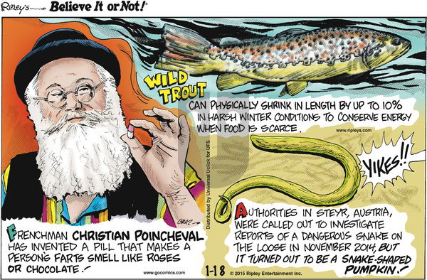 Ripley's Believe It or Not on Sunday January 18, 2015 Comic Strip