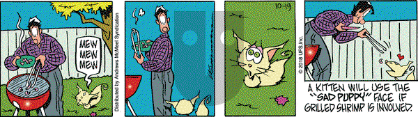 Rose is Rose on Friday October 19, 2018 Comic Strip