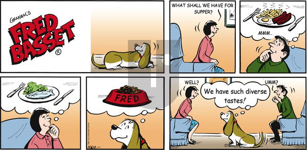 Fred Basset on Sunday March 17, 2013 Comic Strip