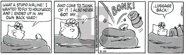Peanuts on Saturday June 20, 1992 Comic Strip