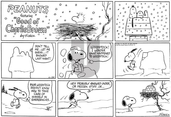 Peanuts on Sunday November 24, 1974 Comic Strip