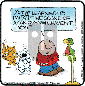 Ziggy on Sunday February 10, 2002 Comic Strip