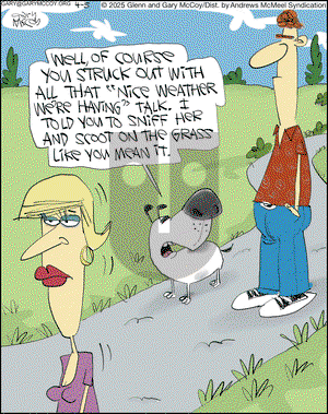 The Flying McCoys on Saturday April 5, 2025 Comic Strip