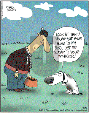 The Flying McCoys on Saturday December 17, 2016 Comic Strip
