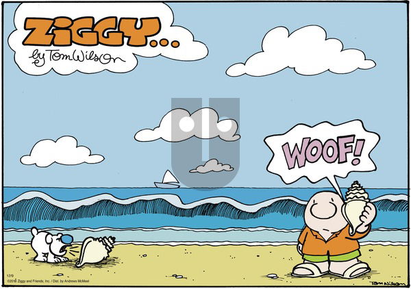 Ziggy on Sunday December 9, 2018 Comic Strip