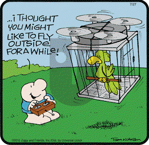 Ziggy on Wednesday July 27, 2016 Comic Strip
