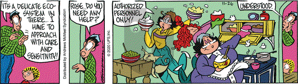Rose is Rose on Thursday November 26, 2020 Comic Strip