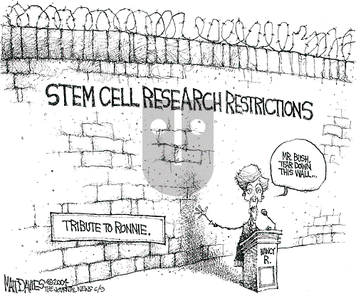 Matt Davies on Tuesday June 8, 2004 Comic Strip