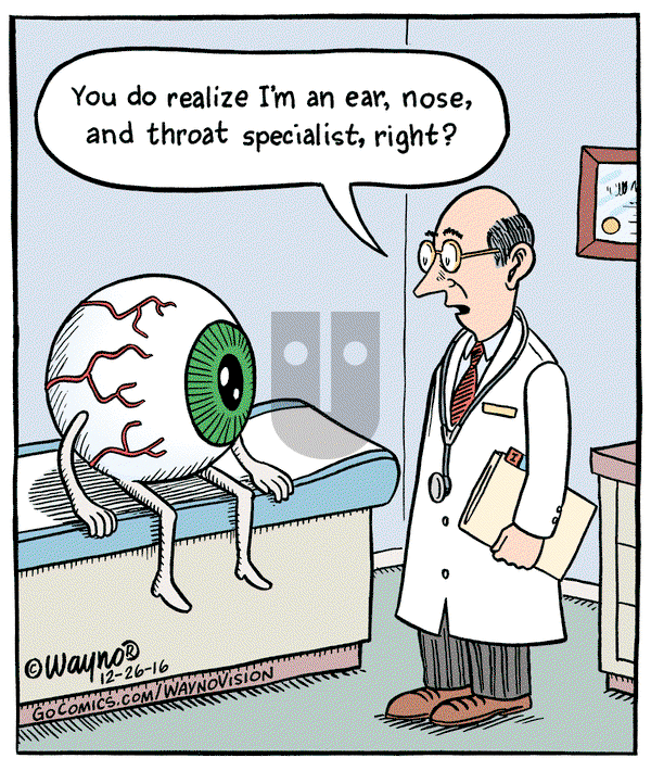 WaynoVision - Monday December 26, 2016 Comic Strip