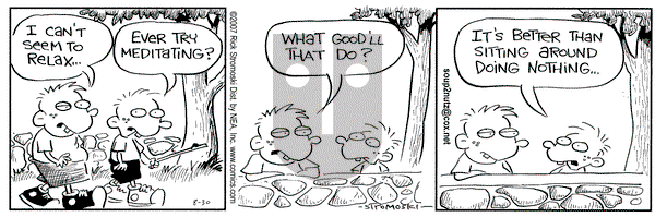 Soup to Nutz - Old on Thursday August 30, 2007 Comic Strip