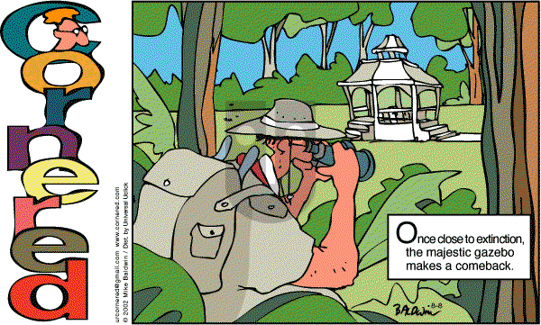 Cornered - Sunday August 8, 2010 Comic Strip