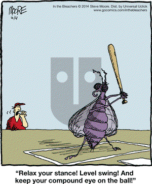 In the Bleachers on Friday July 4, 2014 Comic Strip