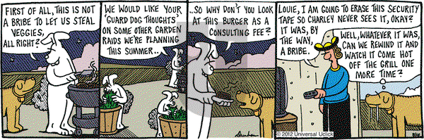 Overboard on Thursday August 16, 2012 Comic Strip