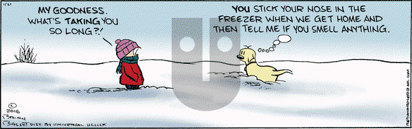 Red and Rover on Wednesday January 27, 2016 Comic Strip