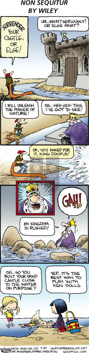Non Sequitur - Sunday July 24, 2022 Comic Strip