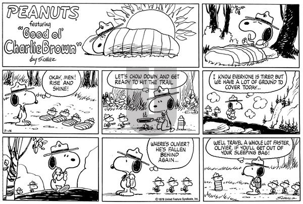 Peanuts on Sunday July 16, 1978 Comic Strip