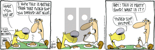 The Duplex on Wednesday February 6, 2013 Comic Strip