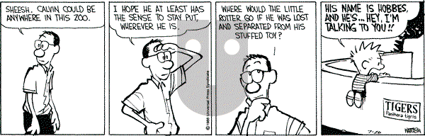 Calvin and Hobbes - Tuesday July 26, 1988 Comic Strip