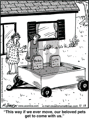 Close to Home on Saturday November 13, 2004 Comic Strip