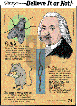 Ripley's Believe It or Not on Monday July 6, 2020 Comic Strip