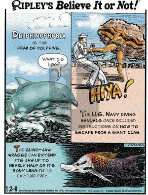 Ripley's Believe It or Not on Saturday December 6, 2025 Comic Strip