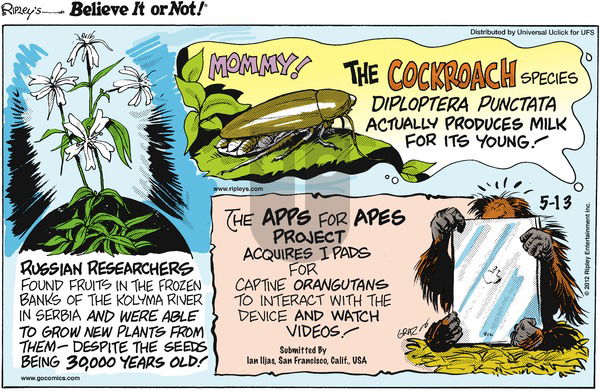 Ripley's Believe It or Not on Sunday May 13, 2012 Comic Strip