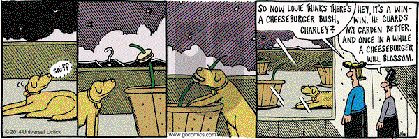 Overboard on Friday May 16, 2014 Comic Strip