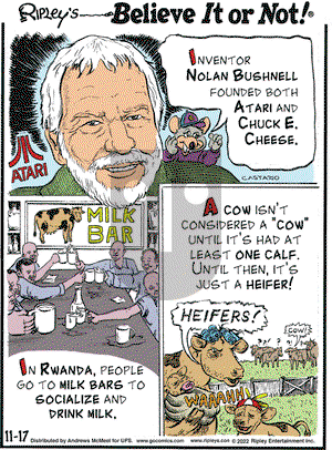 Ripley's Believe It or Not - Thursday November 17, 2022 Comic Strip