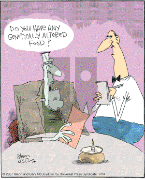 The Flying McCoys on Sunday April 22, 2007 Comic Strip