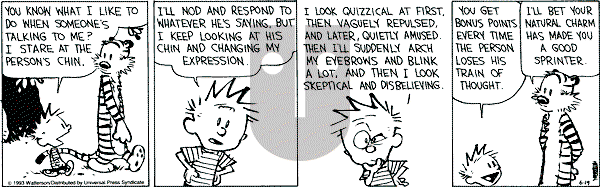 Calvin and Hobbes - Saturday June 19, 1993 Comic Strip