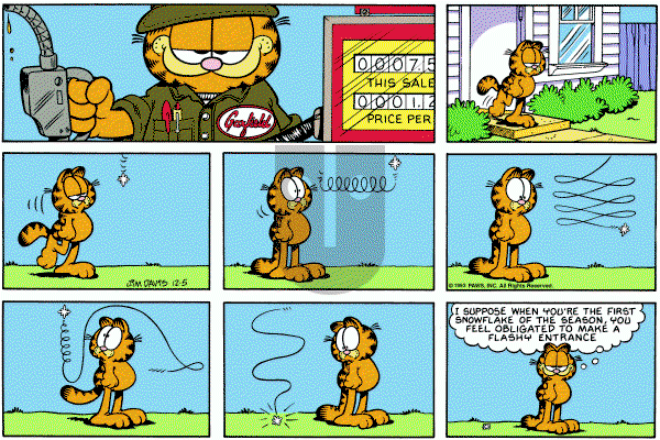 Garfield on Sunday December 5, 1993 Comic Strip