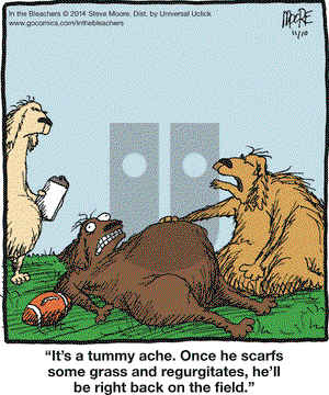 In the Bleachers on Monday November 10, 2014 Comic Strip