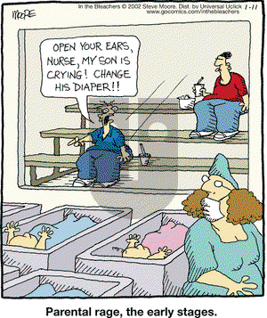 In the Bleachers on Saturday January 11, 2014 Comic Strip