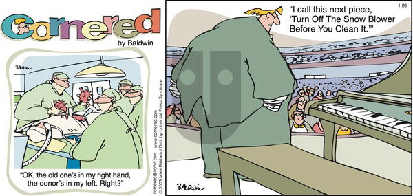 Cornered on Sunday January 26, 2003 Comic Strip