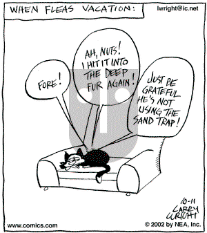 Kit 'N' Carlyle on Friday October 11, 2002 Comic Strip