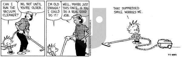 Calvin and Hobbes on Saturday May 6, 1995 Comic Strip