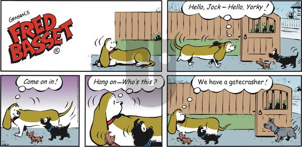 Fred Basset on Sunday June 7, 2020 Comic Strip