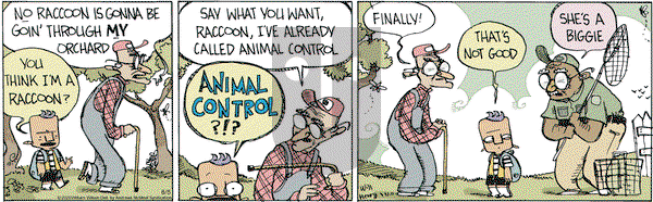 Wallace the Brave on Wednesday August 5, 2020 Comic Strip